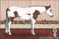 Horse Color:Bay Splash Tobiano Frame Rabicano 
