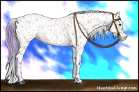 Horse Color:Watercolor Bay Dun Leopard Rabicano 