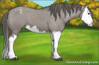 Horse Color:Grullo Roan Splash Blanket