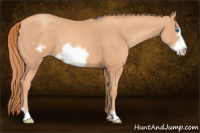 Horse Color:Gold Champagne Frame 