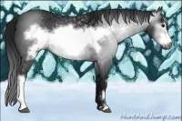 Horse Color:Gray Black Frame 