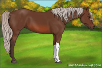 Horse Color:Silver Brown 