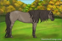 Horse Color:Smoky Grullo 