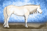Horse Color:Buckskin Pearl Splash Frame 