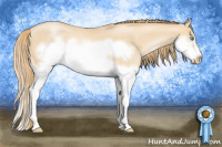 Horse Color:Buckskin Pearl Splash Frame 