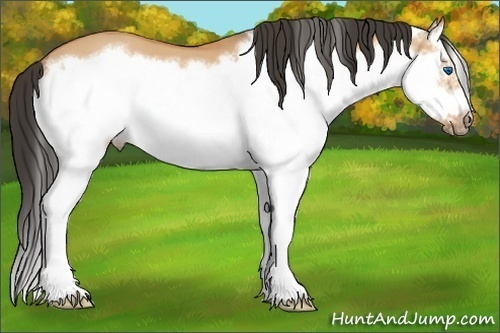 Horse Color: Bay Dun Splash Frame 