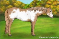 Horse Color:Chestnut Frame