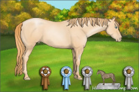 Horse Color:Gold Champagne Pearl