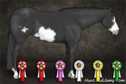Horse Color: Black Frame 