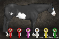 Horse Color:Black Frame 