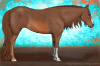 Horse Color:Liver Chestnut 