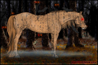 Horse Color:ERROR: UNKNOWN ANOMALY Brindle