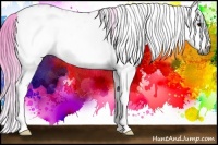 Horse Color:Gray Watercolor White Spotted Brown Splash Appaloosa 