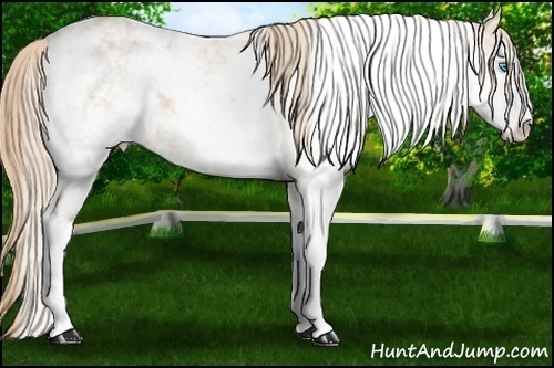 Horse Color: Perlino Sabino Varnish 