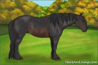 Horse Color:Brown Rabicano  Brindle