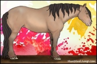 Horse Color:Sable Champagne 