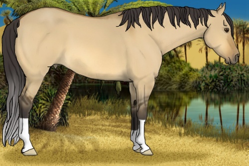 Horse Color: Buckskin Dun 