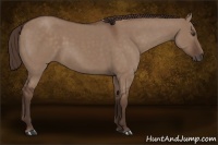 Horse Color:Liver Red Dun 