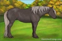 Horse Color:Silver Black 