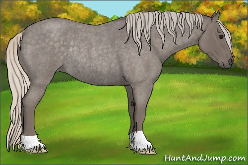 Horse Color: Silver Buckskin Roan Rabicano 