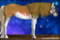Horse Color:Watercolor White Spotted Liver Chestnut Splash 