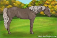 Horse Color:Silver Black 