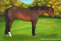 Horse Color:Brown 