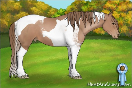 Horse Color: Black Pearl Tobiano 