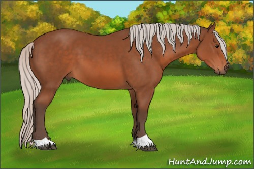 Horse Color: Silver Bay 
