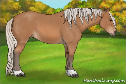 Horse Color: Silver Bay Roan 