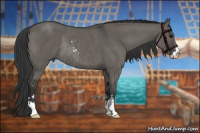 Horse Color:Grullo Sabino Rabicano 