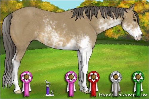 Horse Color: Buckskin Sabino 