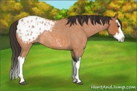 Horse Color:Bay Roan Splash Blanket 