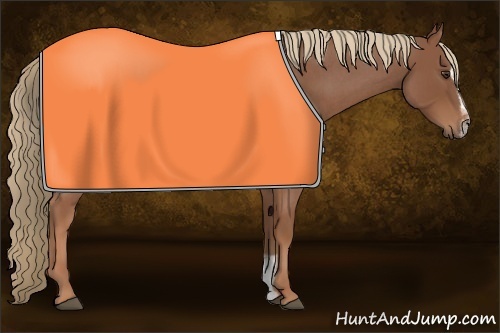 Horse Color:Red Roan Sabino