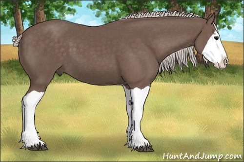 Horse Color: Silver Black Splash 