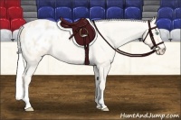 Horse Color:Silver Perlino Roan Blanket