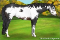 Horse Color:Brown Frame 