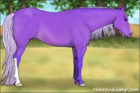 Horse Color:Watercolor Silver Bay 