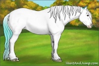 Horse Color:Watercolor Bay Roan Splash 