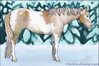 Horse Color:Gray Nacre Silver Classic Cream Champagne Splash Tobiano Frame Appaloosa 