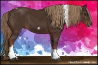 Horse Color:Liver Chestnut Tobiano Frame 