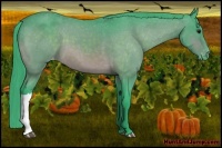 Horse Color:Watercolor Brown Blanket 