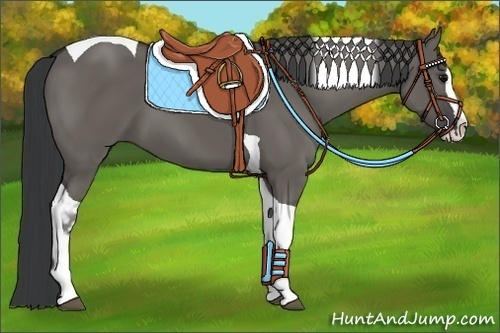 Horse Color:Grullo Splash Tobiano 