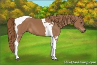 Horse Color:Chestnut Tobiano 