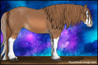 Horse Color:Chestnut Splash 