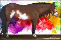 Horse Color:Brown Sabino Frame