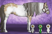 Horse Color:White Spotted Buckskin Frame Rabicano 