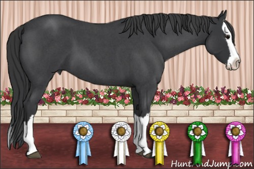 Horse Color: Brown Roan Splash 