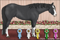 Horse Color:Brown Roan Splash 