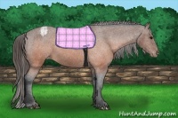 Horse Color:Brown Varnish 
